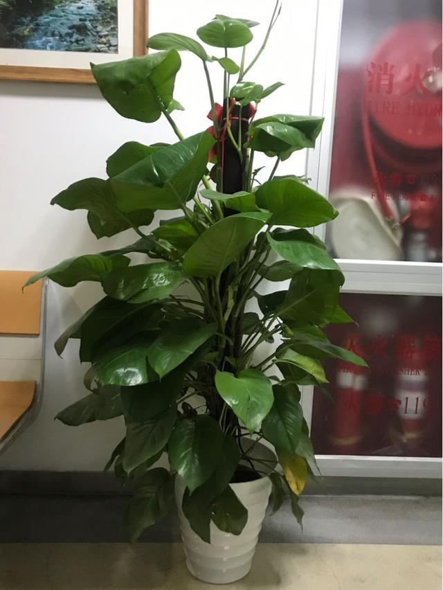 画量感强的3d传奇手游排行