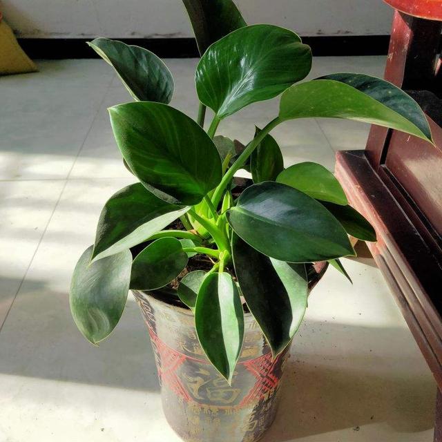 画量感强的3d传奇手游排行