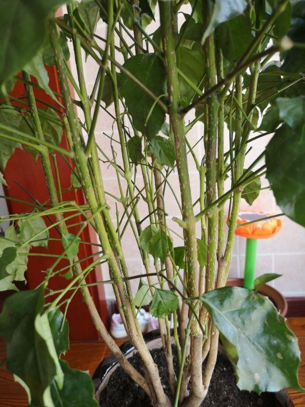 画量感强的3d传奇手游排行