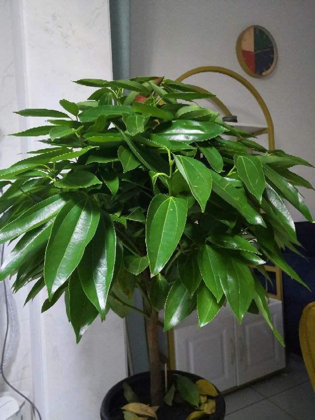 画量感强的3d传奇手游排行