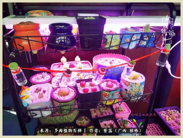 嘟嘟缄默传奇手游