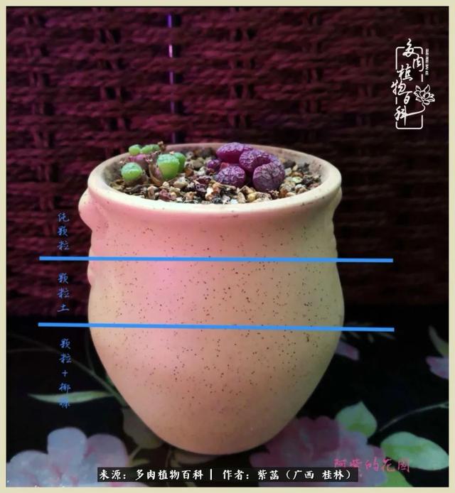 嘟嘟缄默传奇手游