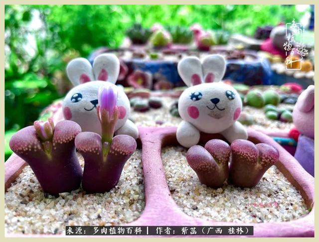 嘟嘟缄默传奇手游