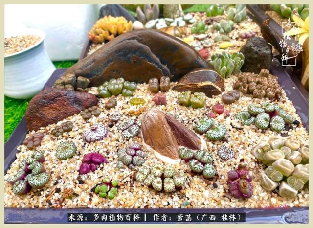 嘟嘟缄默传奇手游