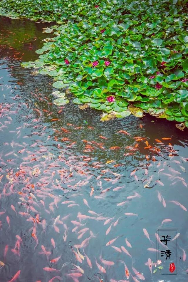 传世归来冰峰暗黑传奇手游
