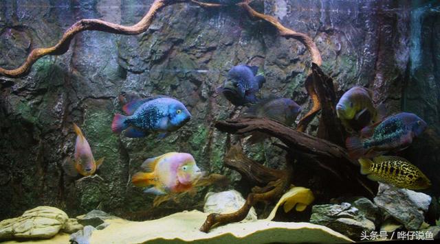 七彩杀神恶魔传奇手游