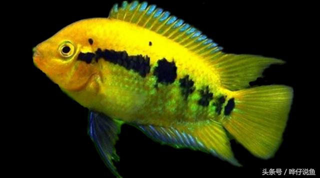 七彩杀神恶魔传奇手游