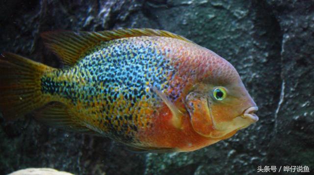 七彩杀神恶魔传奇手游