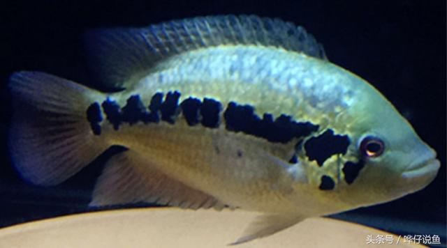 七彩杀神恶魔传奇手游