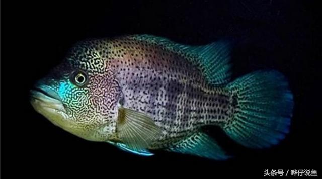 七彩杀神恶魔传奇手游