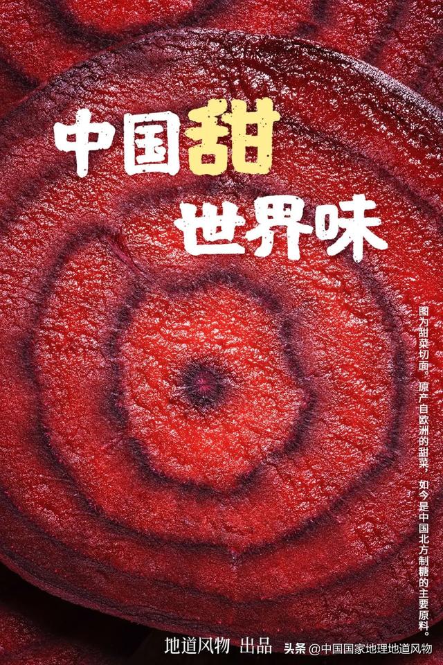 金宝传奇手游