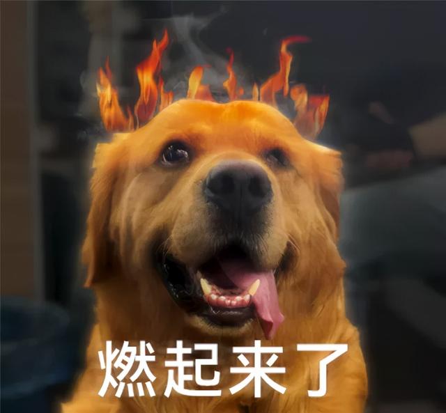 比力像传奇的手游