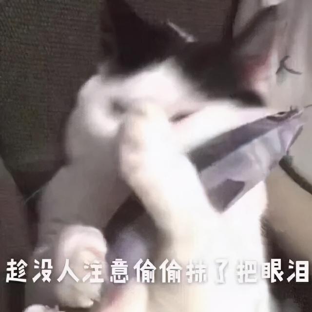 996传奇手游盒子安卓版下载