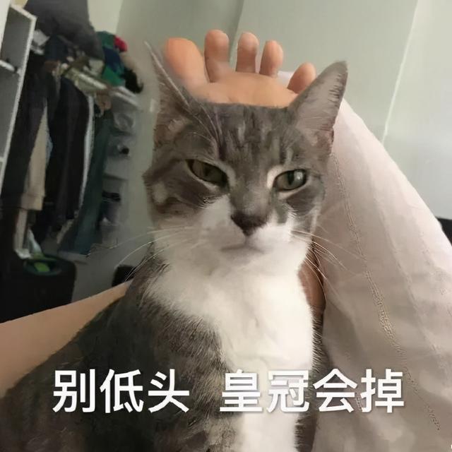 996传奇手游盒子安卓版下载