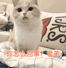 996传奇手游盒子安卓版下载