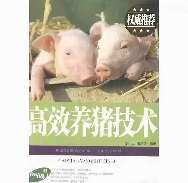 996传奇手游盒子安卓版下载