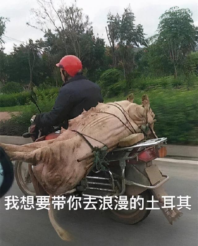 996传奇手游盒子安卓版下载