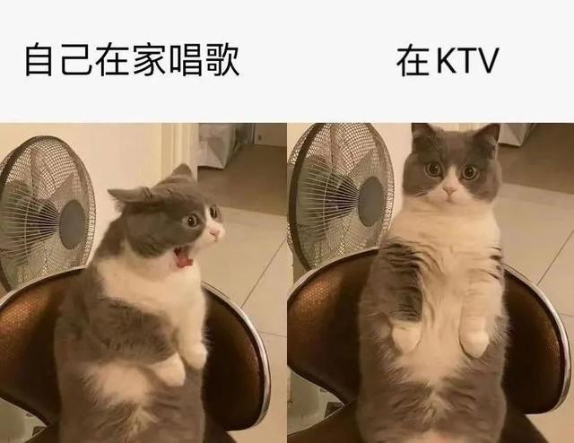 996传奇手游盒子安卓版下载