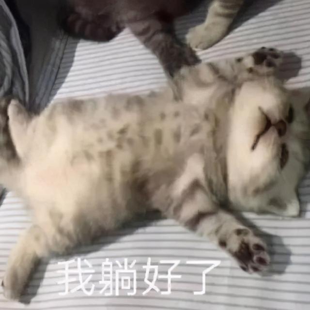 996传奇手游盒子安卓版下载