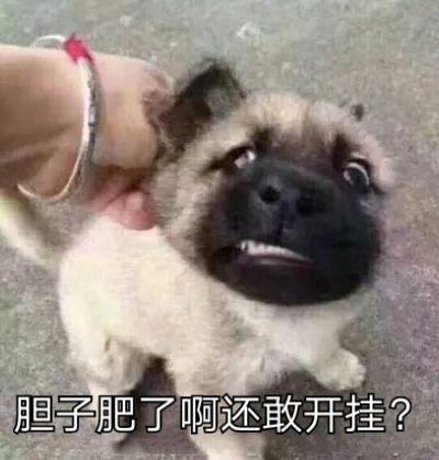 至尊传奇手机游戏单机版