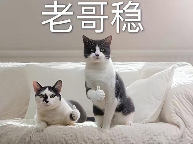 能够挣钱的传奇手游