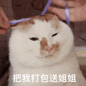 手游传奇网站999服