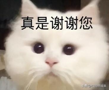 手游传奇网站999服