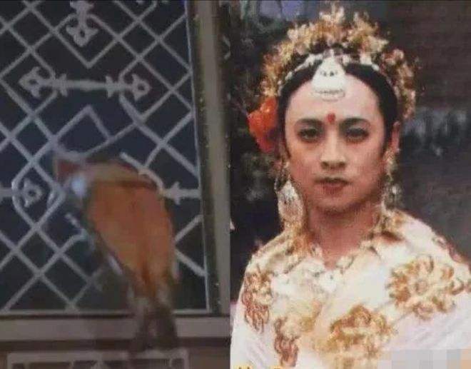 (185版本玉兔传奇手游兵士先天)1.85版本玉兔传奇手游