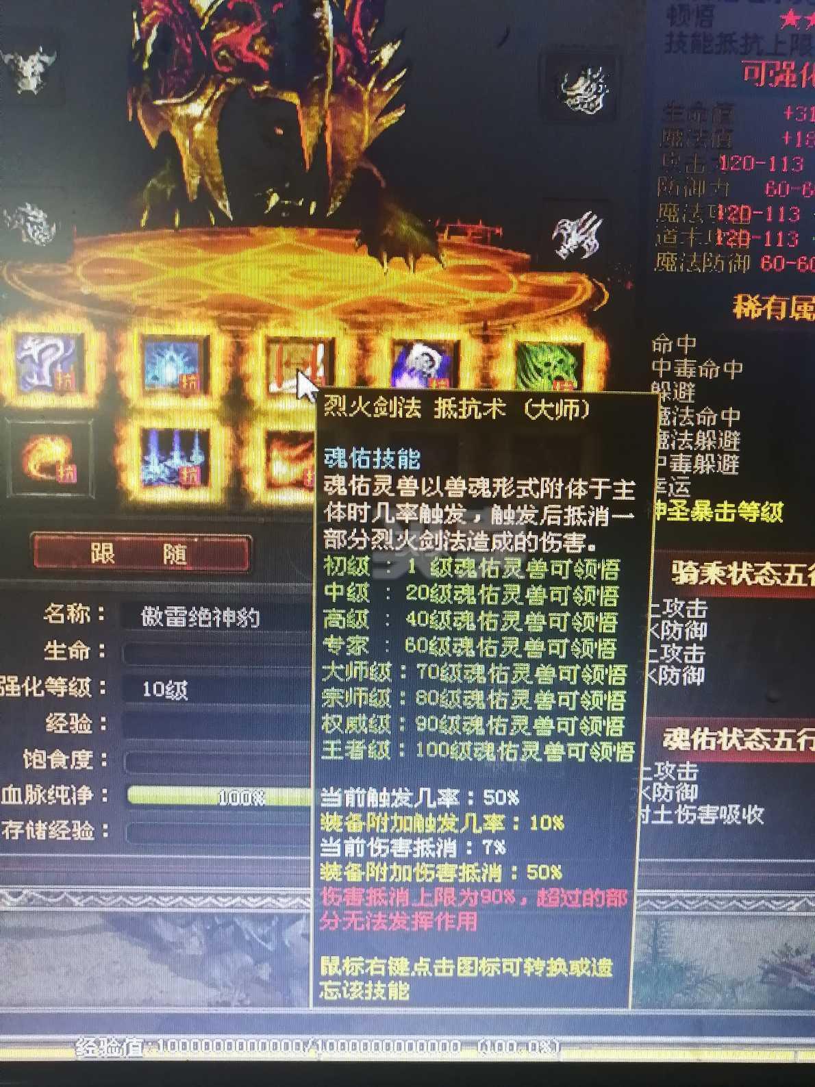 (龙行全国传奇版本攻略)龙行全国传奇手游